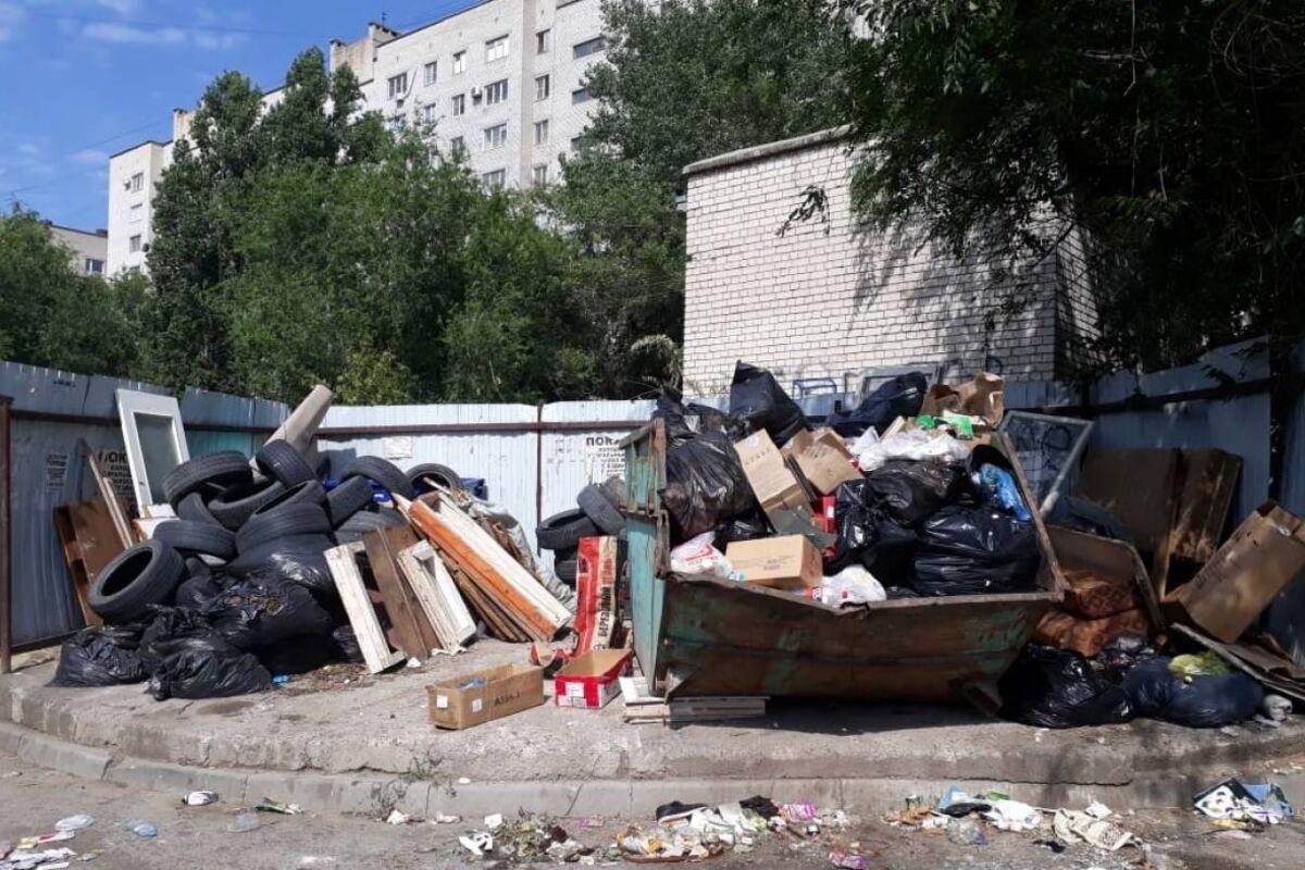 Менее половины мусорных площадок в Волгограде соответствуют нормам