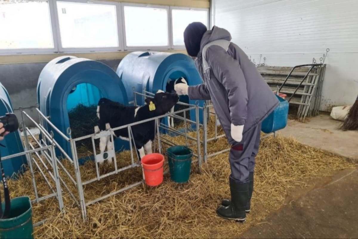 Около 13 млн рублей выделила Кировская область на поддержку местных фермеров