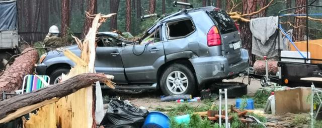 В Красноярском крае деревья упали на палаточный лагерь: один человек погиб, пятеро пострадали