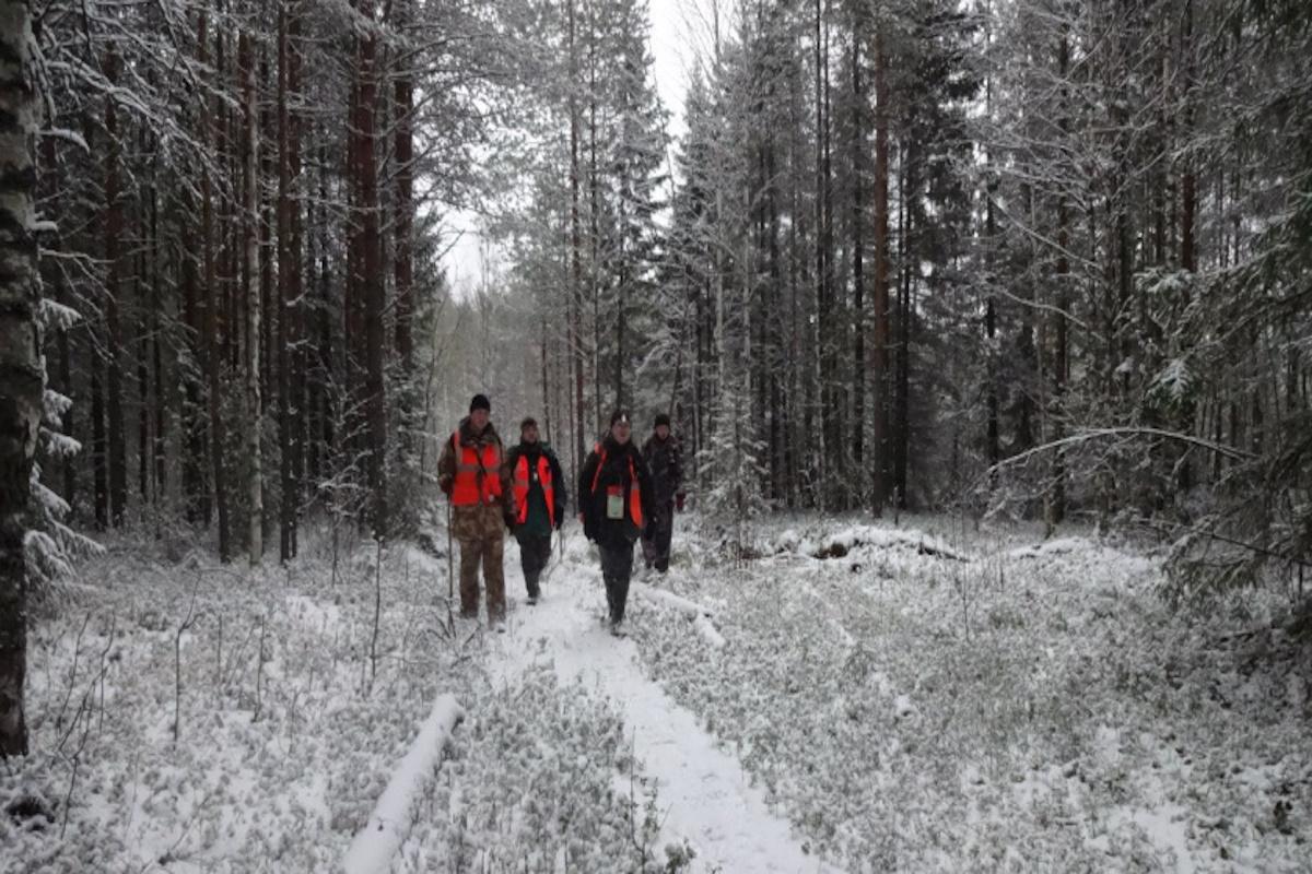 В Кировской области поисковики нашли 15 из 18 человек, пропавших без вести в феврале