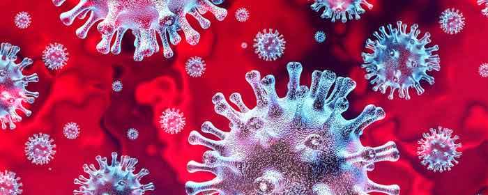 The first two cases of infection with the erys strain have been detected in Egypt