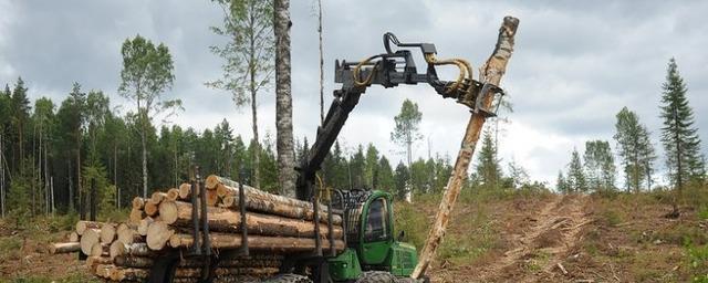 Лесная промышленность Карелии столкнулась с нехваткой рабочих