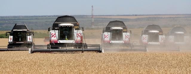 В Ростовской области уборка зерновых культур подходит к экватору