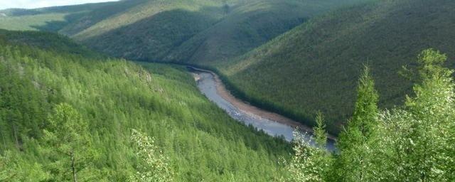 В Хабаровском крае пройдет конкурс для журналистов «Зеленое море тайги»