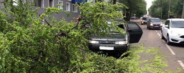 В Тамбове на автомобиль с детьми обрушилось дерево