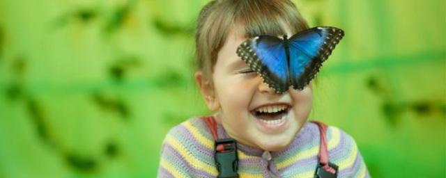 В Егорьевске до конца осени продлится выставка «Живые тропические бабочки»