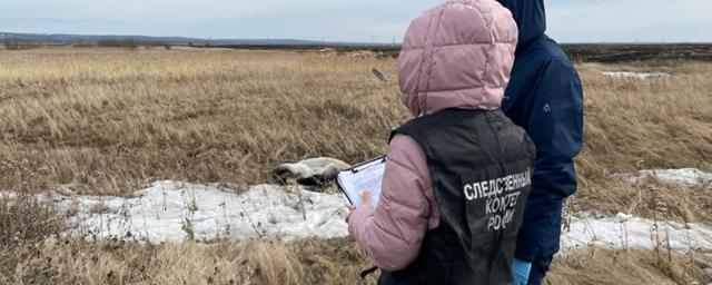 В Канске задержан сотрудник автосервиса, застреливший своего приятеля