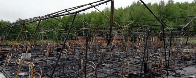 В Хабаровске объявлен трехдневный траур по погибшим в лагере детям