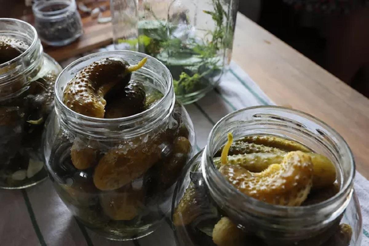 Биолог предупредила о смертельной опасности домашних консервов из мяса и рыбы