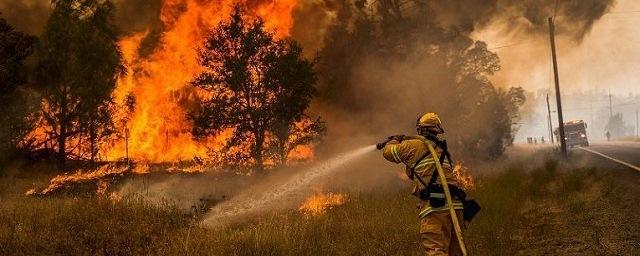 В Иркутской области за сутки ликвидировали 14 лесных пожаров