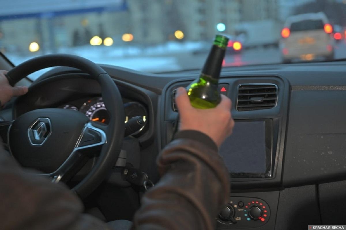 В Красноярске запустили чат-бот для сообщений о нетрезвых водителях