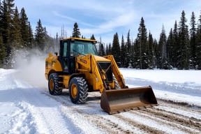 В Ижевске за уборку парка «Березовая роща» заплатят 1 млн рублей