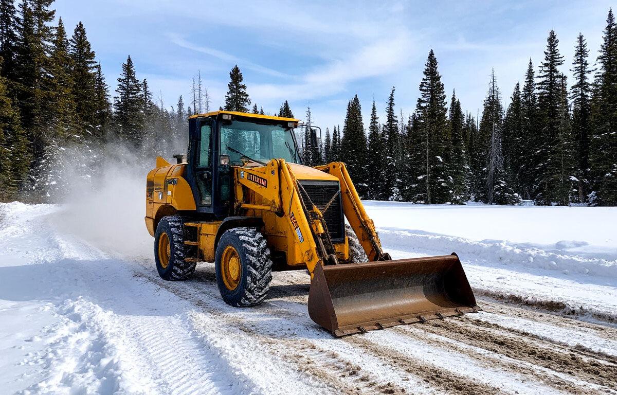 В Ижевске за уборку парка «Березовая роща» заплатят 1 млн рублей