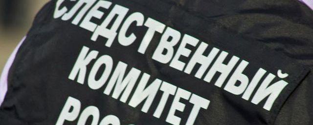 В Ставрополе СК проводит проверку по факту гибели двух рожениц