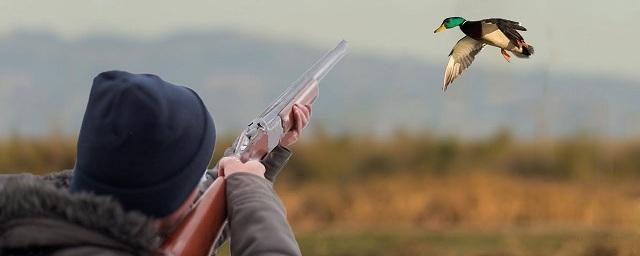 В Архангельске охотник случайно застрелил брата, целясь в уток