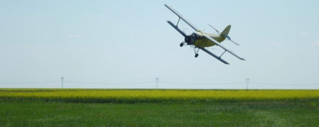 В поле Волгоградской области совершил аварийную посадку самолет Ан-2