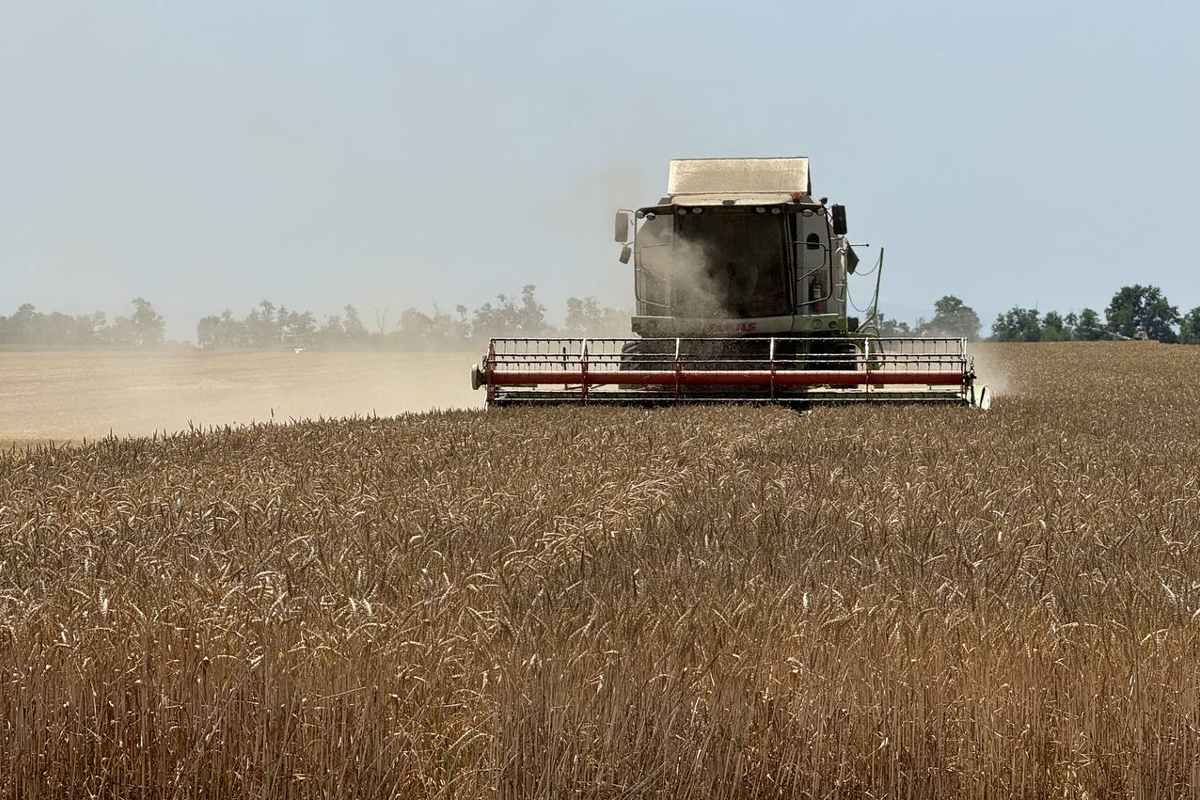 Евгений Наумов: В Краснодаре с полей собрали 83 тысячи тонн зерна