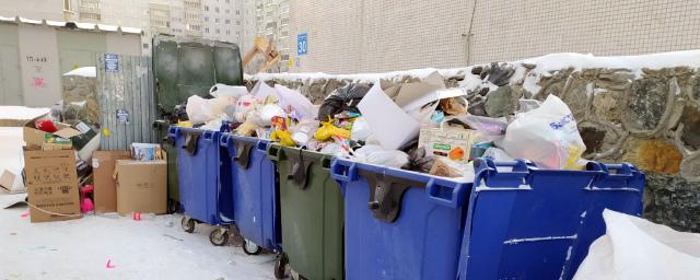 После новогодних праздников Новосибирск утопает в мусоре