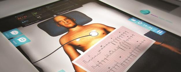 Новосибирские ученые создали виртуального пациента для прогноза лечения
