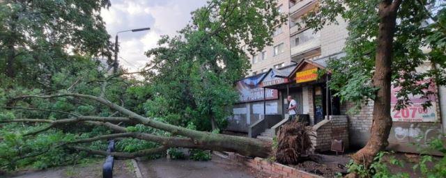 В Костроме ураган повалил 18 деревьев и повредил газопровод