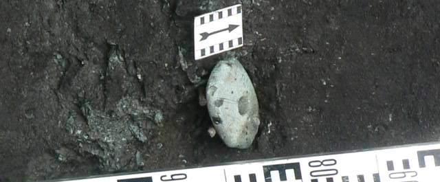 На Урале археологи нашли артефакты возрастом 6-11 тысяч лет