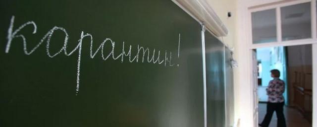 В Бердске коронавирус подтвердился у еще одного учителя