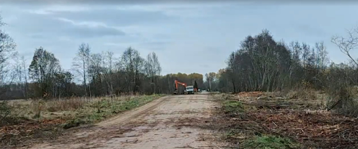 В Псковской области в следующем году проведут ремонт участка дороги Череха – Назимово
