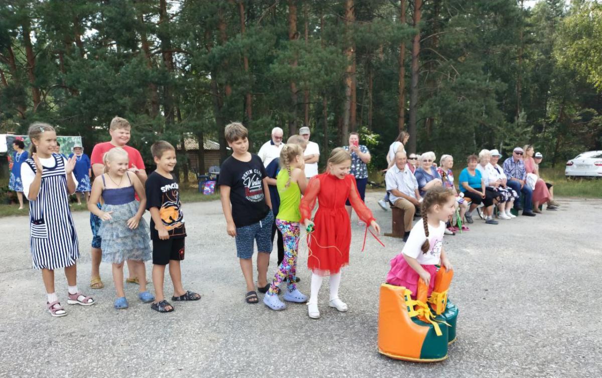 В Орехово-Зуевском округе весело отметили дни рождения пяти деревень и двух сел