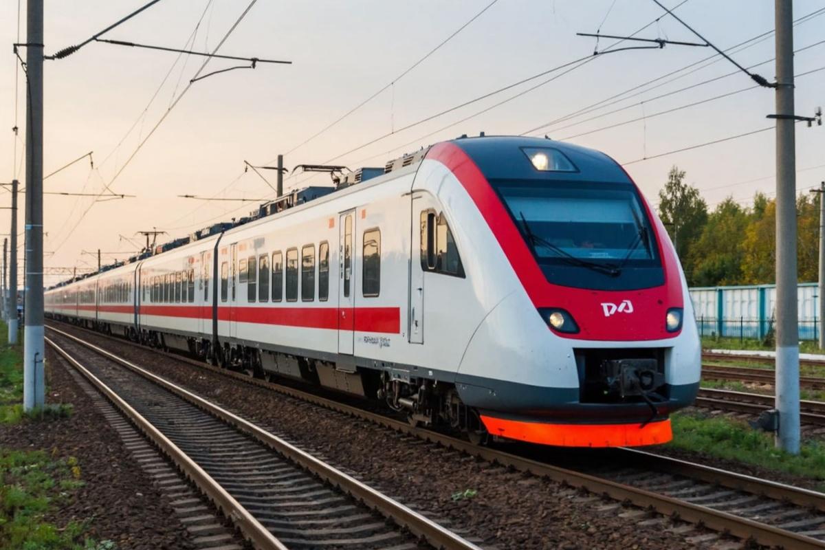 Скорый поезд «Ласточка» Москва–Смоленск экстренно остановился в Можайске