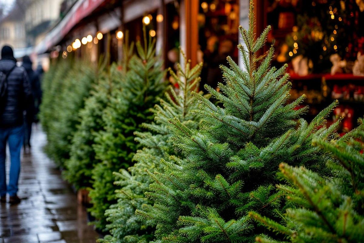В Татарстане взяли под усиленную охрану хвойные насаждения в преддверии Нового года