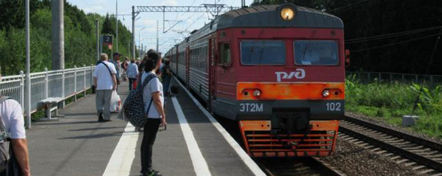 В Ленобласти пенсионер погиб под поездом, не заметив красный сигнал светофора
