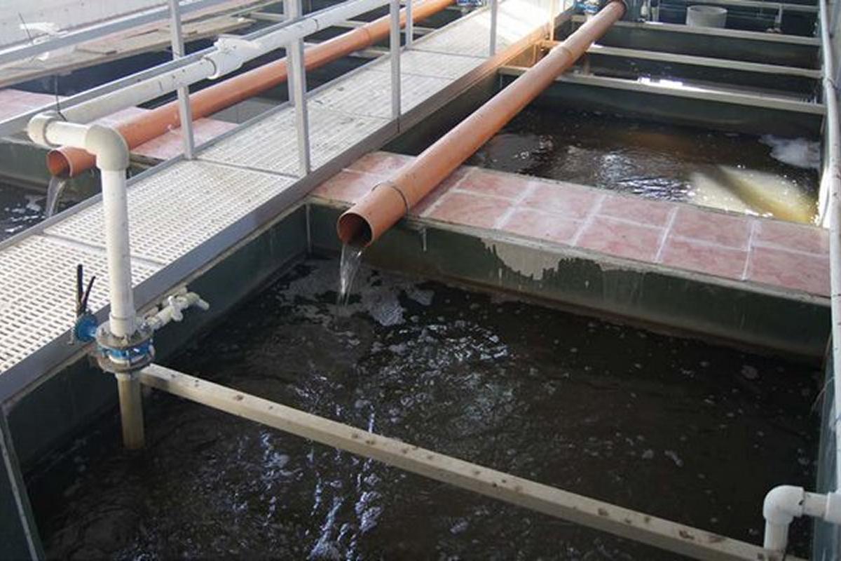 Для столицы Чукотки спроектируют очистные сооружения в рамках мастер-плана развития агломерации