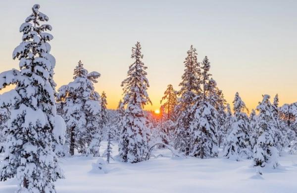 В Курской области прогнозируют похолодание до -15 градусов