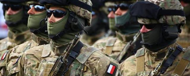 В Днепропетровскую область Украины прибыл польский спецназ НАТО