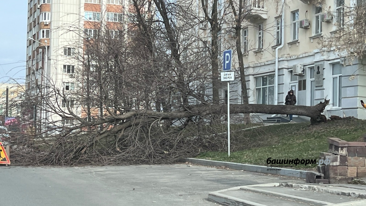 В МЧС Башкирии предупредили об ураганном ветре и заморозках