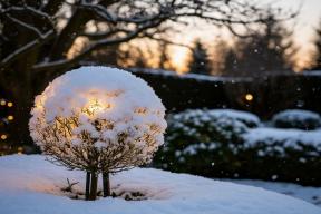 Вернётся ли зима и погубит ли она будущий урожай в России? Ответ эксперта