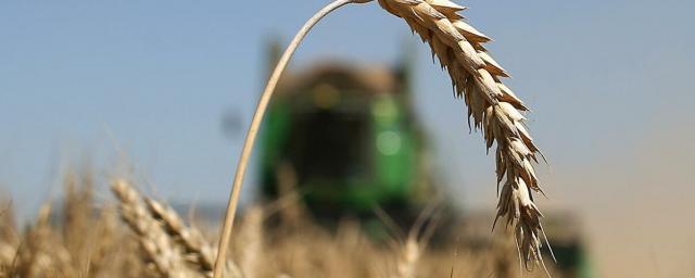 С 1 марта пошлина на экспорт пшеницы увеличивается в два раза