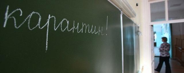В Якутске на недельный карантин из-за вспышки гриппа закрыты все школы