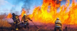 В Алтайском крае сохраняется высокая вероятность возникновения природных пожаров
