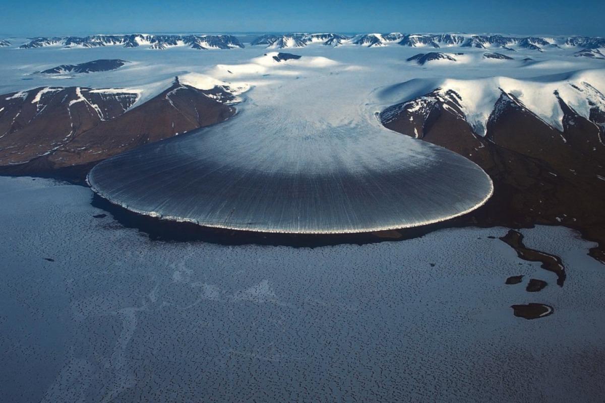Под ледяной толщей Гренландии найдены остатки флоры и фауны
