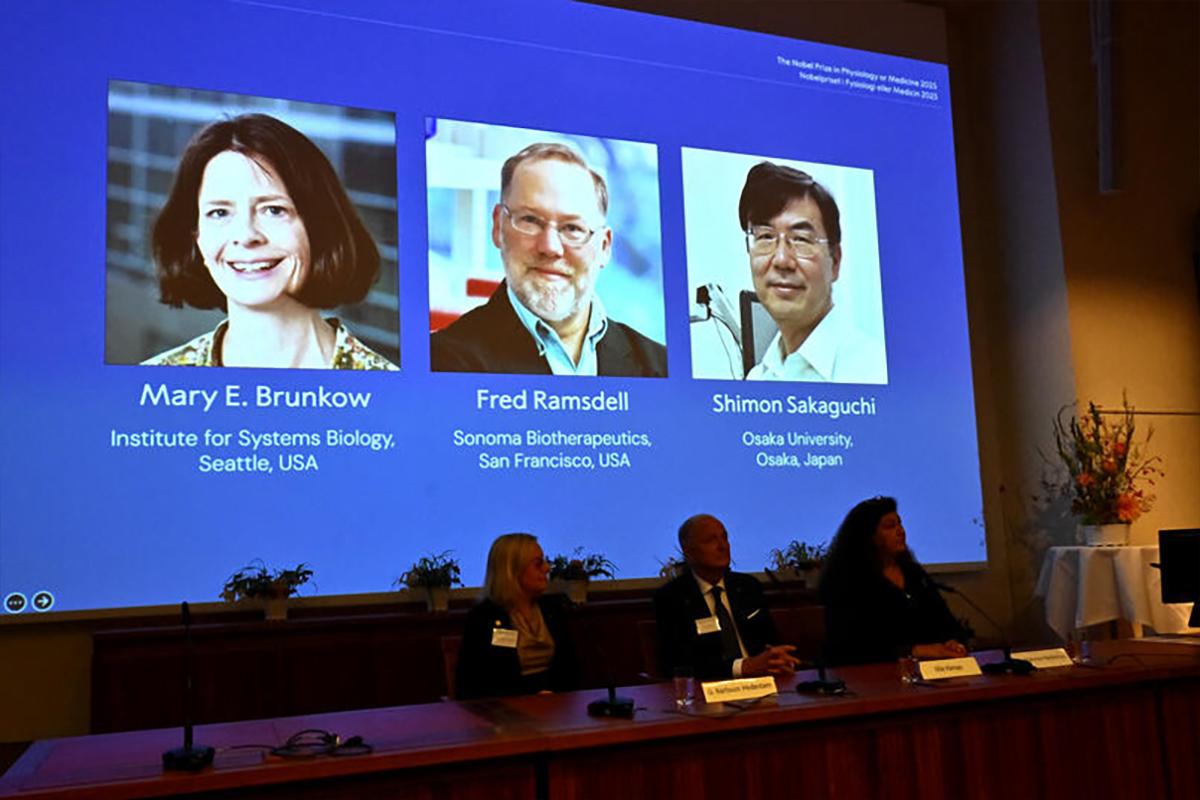 Нобелевскую премию по медицине присудили за исследования в области иммунитета