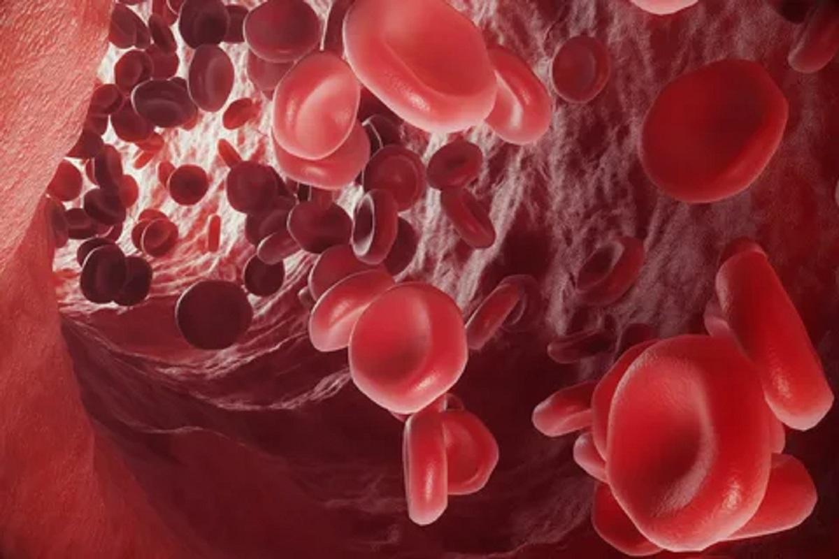 Анализ 5-6 белков крови эффективно предсказывает риск развития более 60 заболеваний