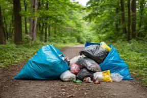 Во Владимирской области завершился масштабный субботник у мемориалов ВОВ