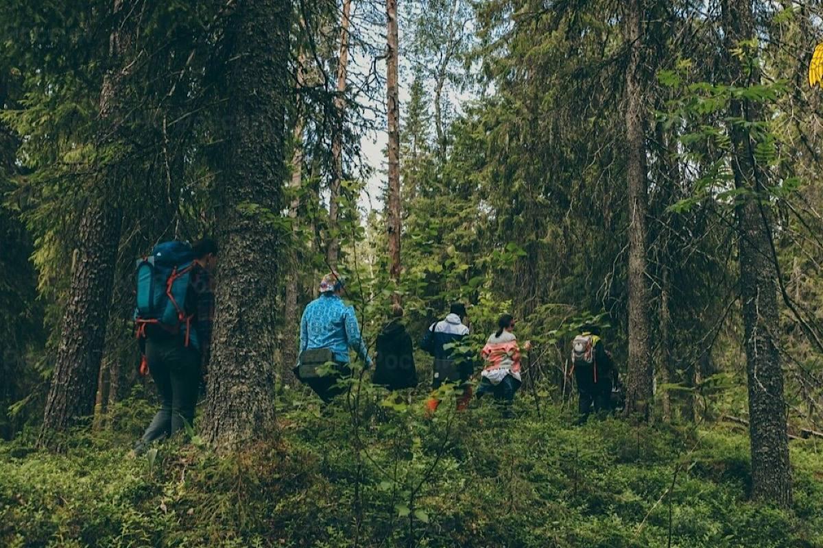 Клещи атакуют: более 150 укусов зарегистрировано на Ставрополье за неделю