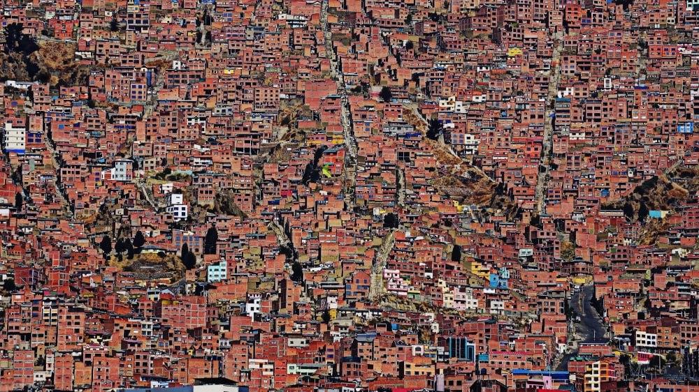 Фотограф из Городского округа Пушкинский стала финалистом международного фотоконкурса «СВЕТ И ЦВЕТ»