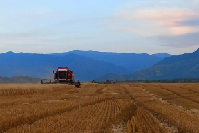 Андрей Турчак: Ветераны СВО в Республике Алтай смогут получить до 7 млн рублей на развитие фермерских хозяйств
