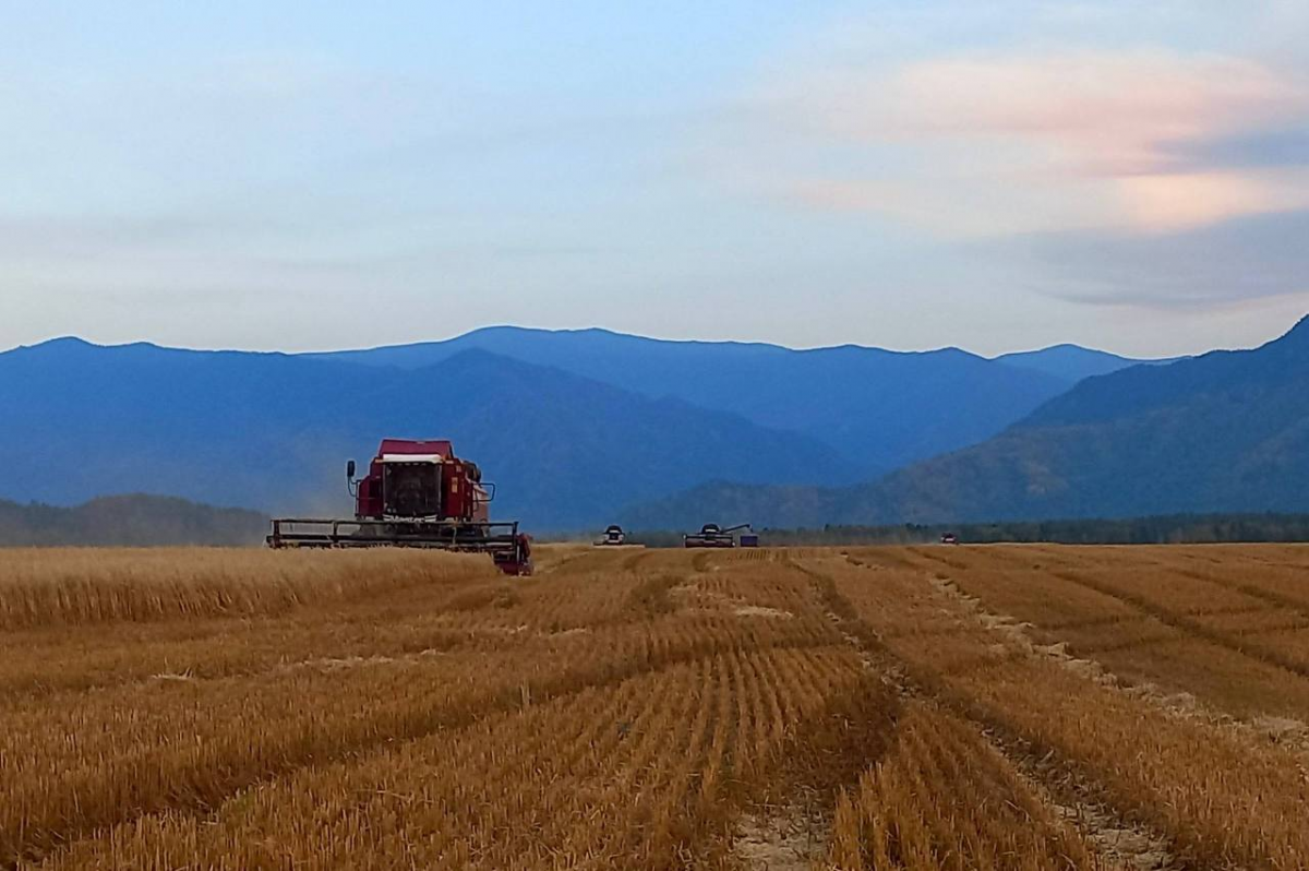 Андрей Турчак: Ветераны СВО в Республике Алтай смогут получить до 7 млн рублей на развитие фермерских хозяйств