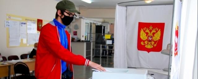 В Мурманской области 62% жителей одобрили поправки в Конституцию