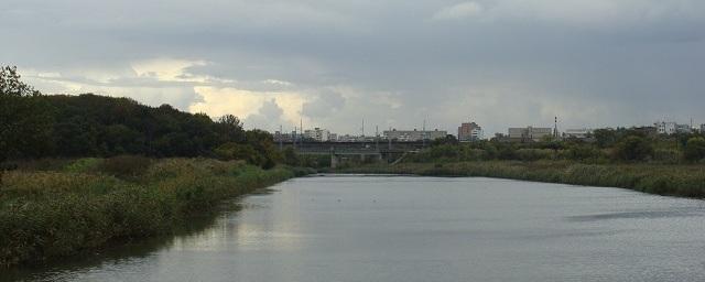 В Ростове до 2020 года расчистят 8,5 км русла реки Темерник