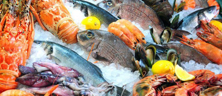 В Калуге впервые пройдет Рыбный фестиваль